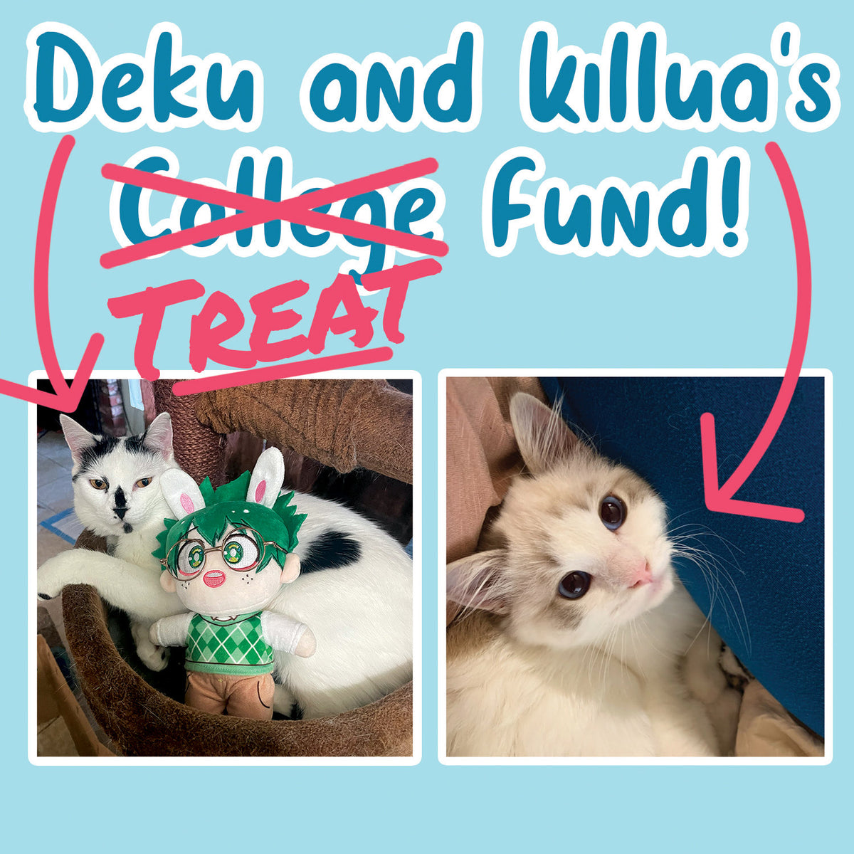 Tip Jar (Cat Treat Fund)